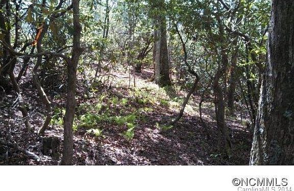 3rd image of 18 & 19 Crooked Creek Estates Dr #Old