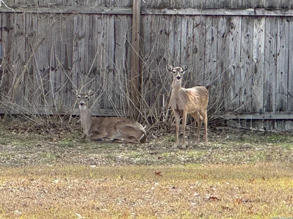 7312 Linkmeadow LOT 5, San Antonio, TX 78240