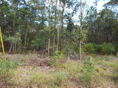 5732 Geathers Rd, Hollywood, SC, 29449
