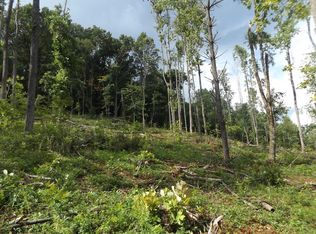 Tbd Danville Pike, Laurel Fork, VA 24352