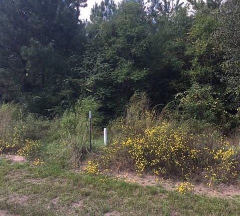 3rd image of 668 County Road 3408