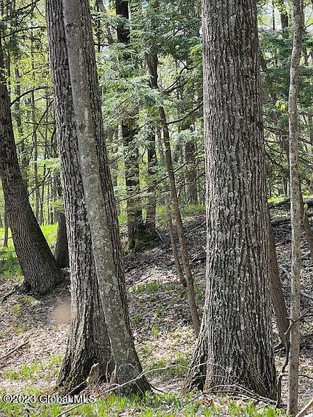 5th image of L2.3 State Route 197