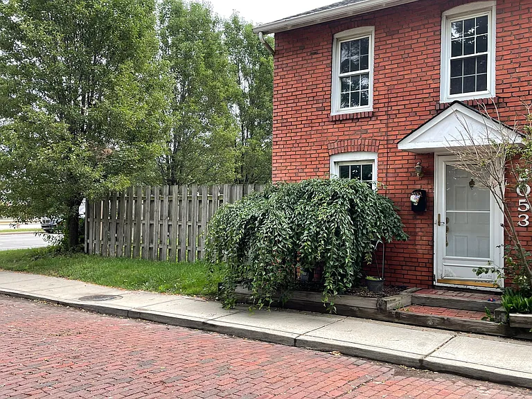 Frond door and fences in yard