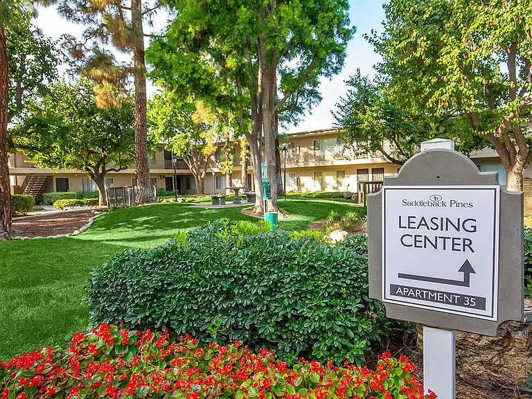 Saddleback Pines Apartment Homes — Photo 12