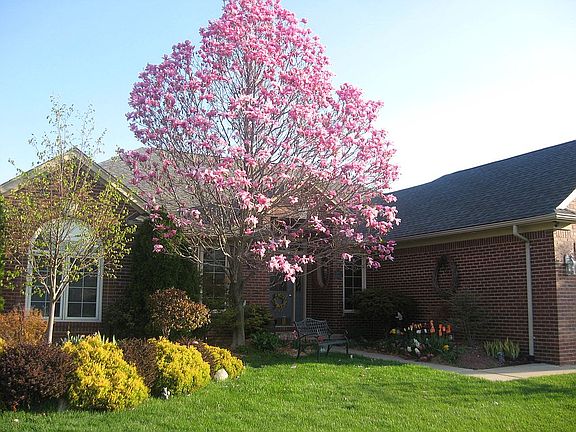 Front in Spring