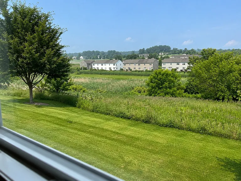 Yard view from upstairs