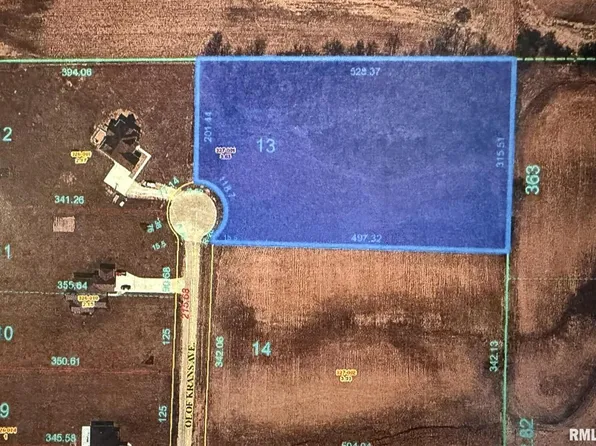 2769 Olof Krans Ave, Galva, IL 61434