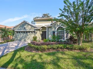 1148 Emerald Hill Way, Valrico, FL 33594