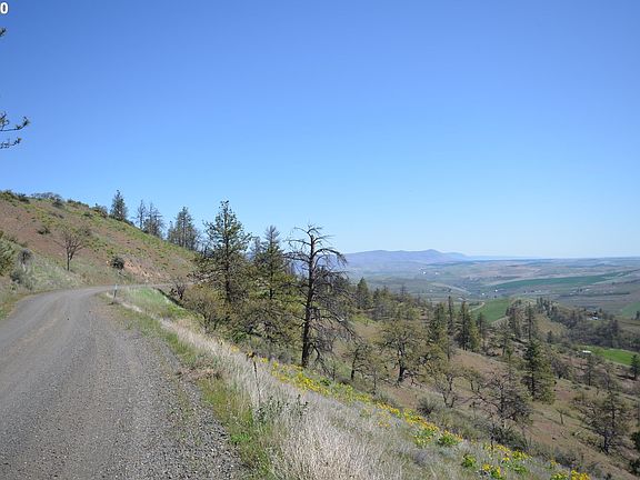 4th image of 4880 Skyline Rd