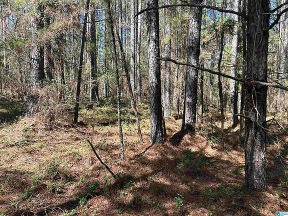 4th image of Bent Twig Ln