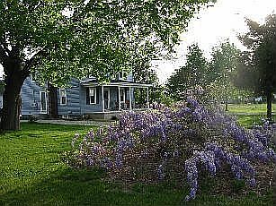 Left Side Yard