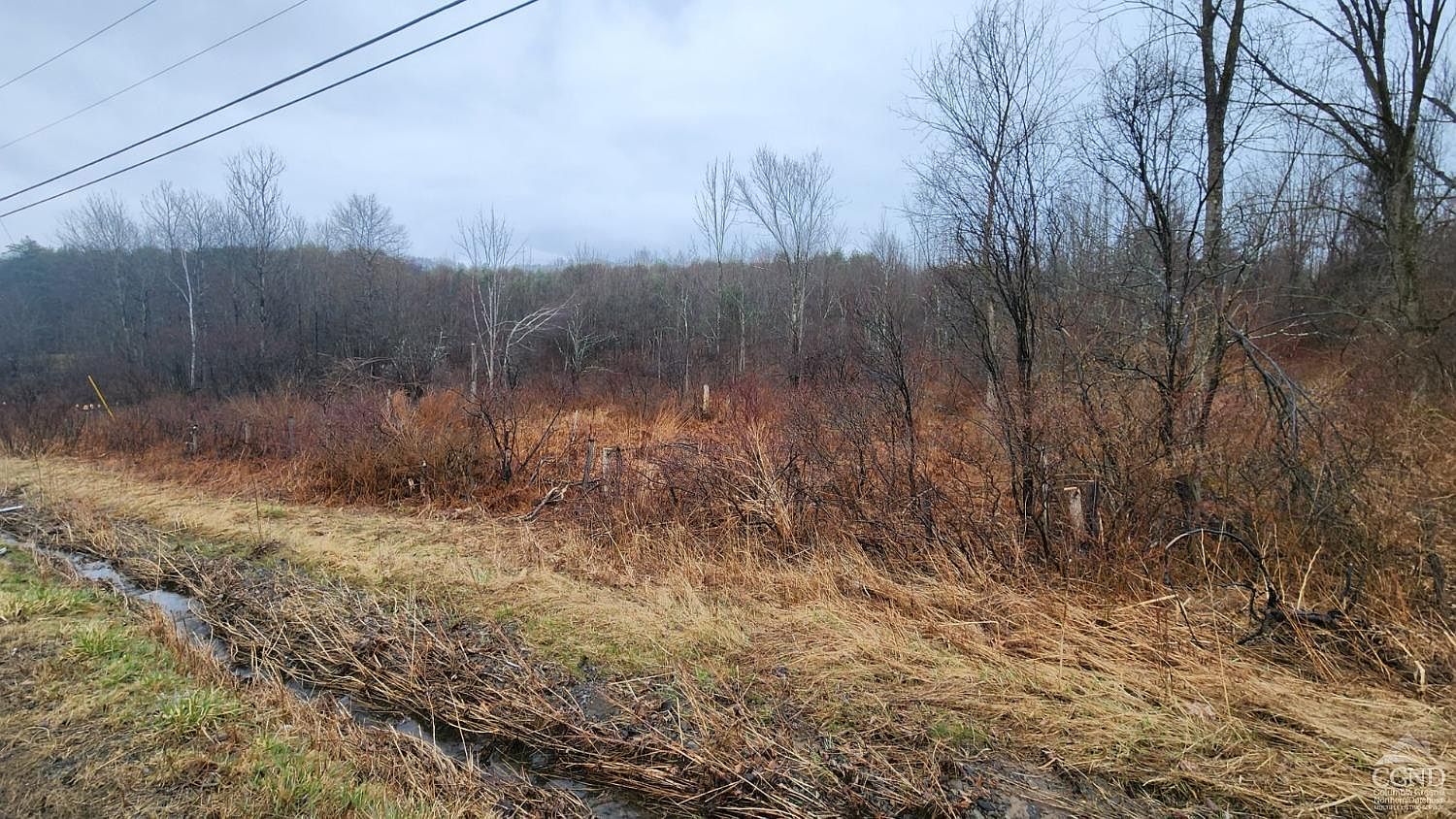 0 County Route 352, Cornwallville, NY 12418 MLS 152078 Zillow