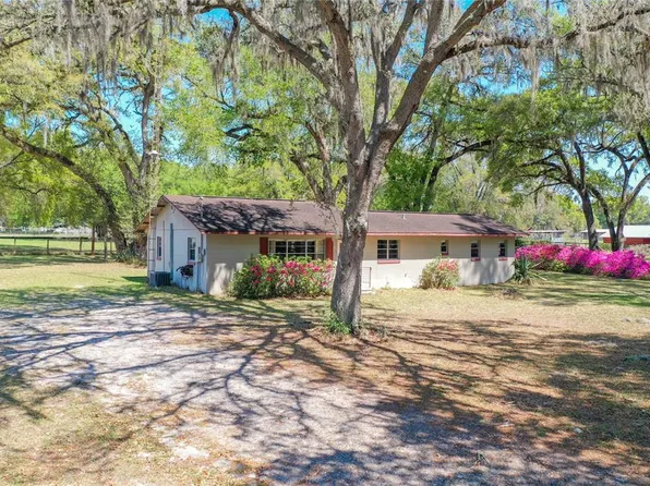 975 SE 170th St, Summerfield, FL 34491