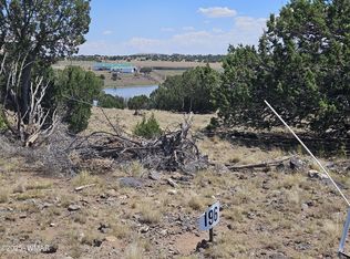 County Road 8637 Lots 195 #&-196, Concho, AZ 85924