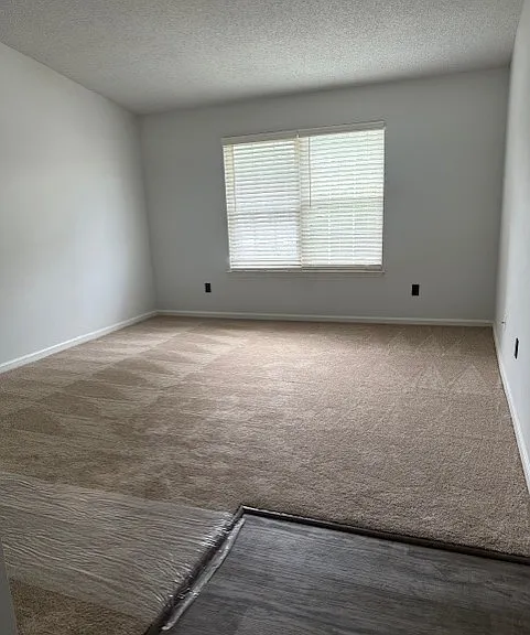 37 Willow Bend Ct — Photo 5