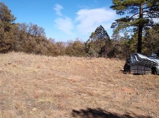402 Colleen Canyon Trl, Fort Davis, TX 79734