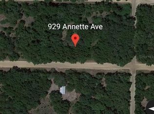 929 Annette Ave #25, Interlachen, FL 32148