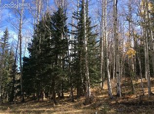 1596 Anges Dr, Cripple Creek, CO 80813