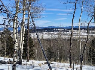 893 Lumber Jack Rd, Fairplay, CO 80440