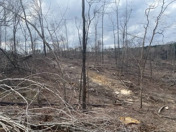 Hines Road Hines Rd, Camden, MS 39045