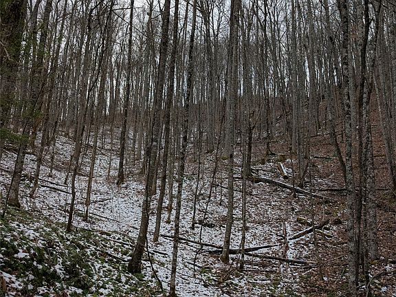 2nd image of lot 3 Black Gap Road