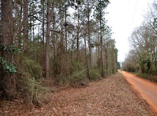 36.33 Ac E Sanford Rd #F, Baker, FL 32531