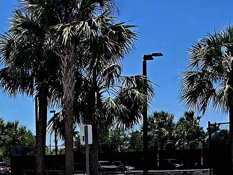 One of the several Tennis Courts.