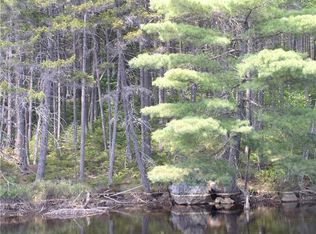 0 Troutdale Road Bald Mountain Twp, Bingham, ME 04920