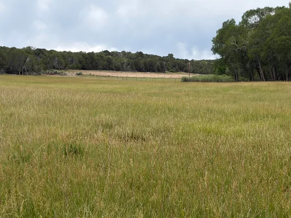 Tbd Cactus Park Rd, Cedaredge, CO 81413