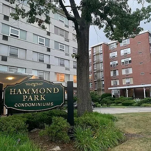 20 Hammond Pond Pkwy #206 — Photo 19