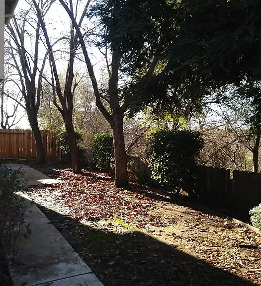 6220 Cameo Dr — Photo 14
