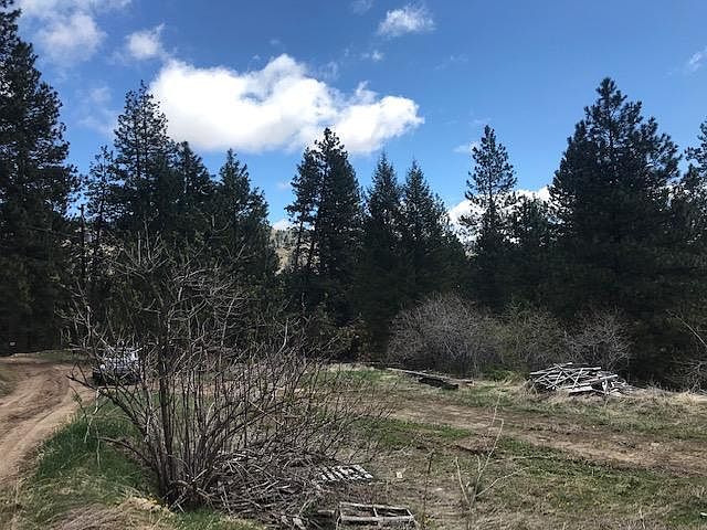 Looking at a mountain to the east from Shatuck Road above the northeast end of the property.