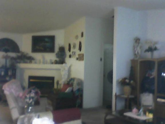 Family room and Den