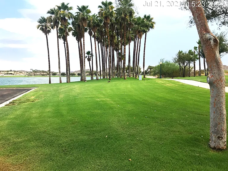 17584 W Acacia Ct — Photo 52