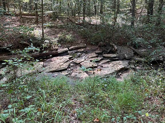 5th image of 3107 Smith Sims Rd #3107