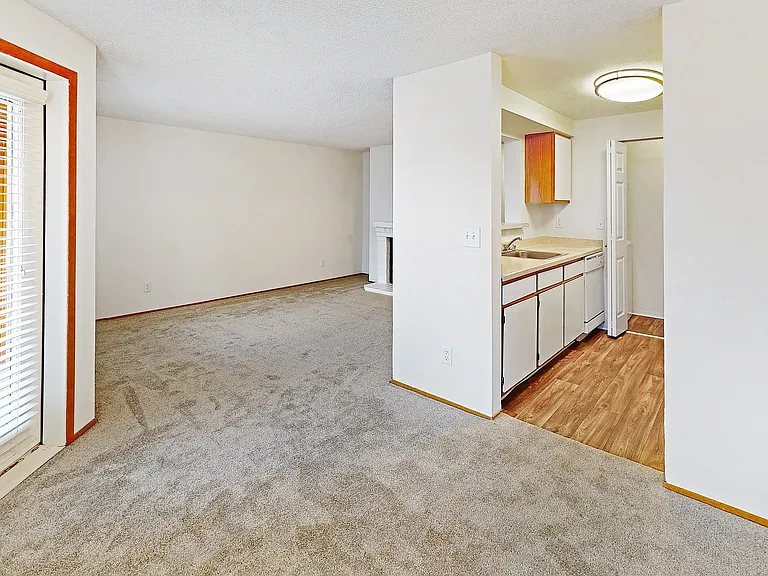 Living Space & Kitchen