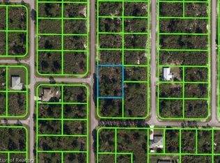 216 Wildcat St NW, Lake Placid, FL 33852