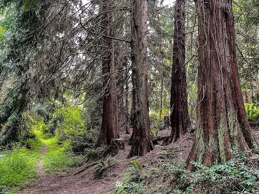 Coupeville, WA 98239