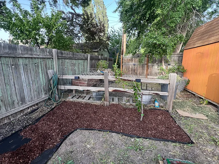 Backyard/Garden Area