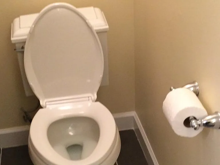 Master Bathroom Toilet Area