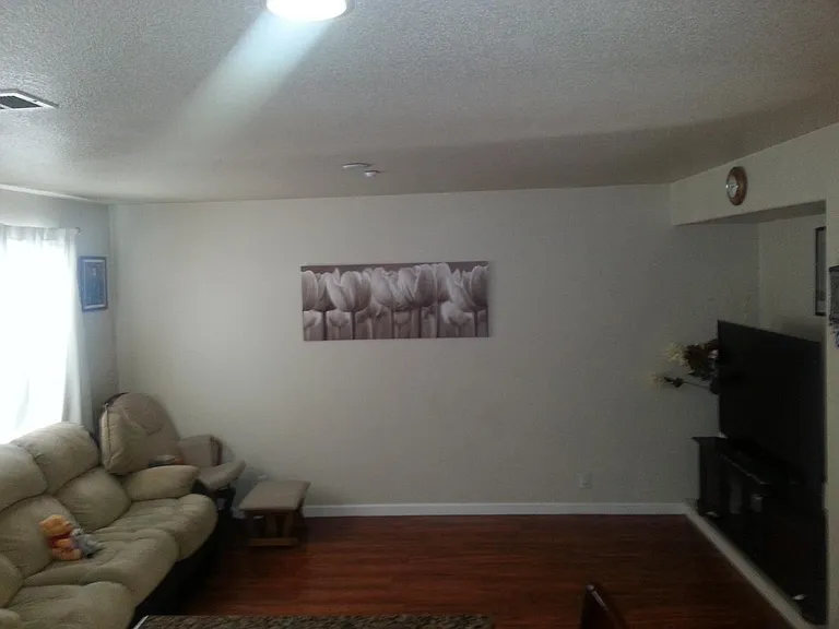 319 Vista Roma Way — Photo 2
