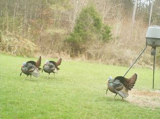 0 Spring Hill Rd, Winona, MS 38967