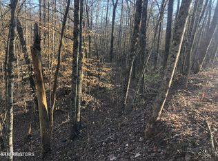 0 Yellowwood Dr, Sevierville, TN 37876