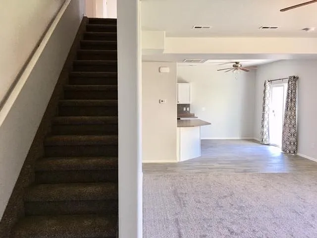 2024 Reed Grass Way — Photo 15