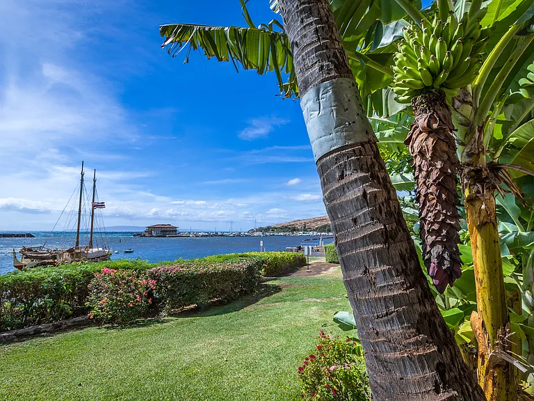 30 Hauoli St #204 — Photo 21