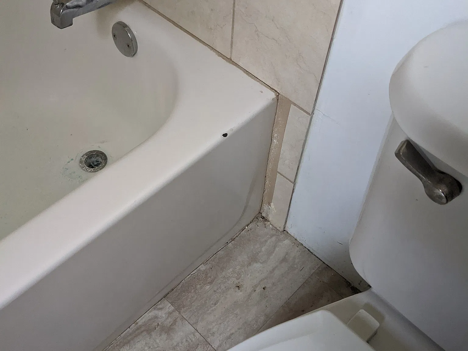 Lawrence 4514 — Photo 3