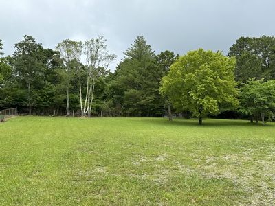 42 Dandy Rd, Signal Mountain, TN, 37377