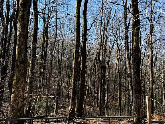 5th image of 6180 Burnt Mountain Rd