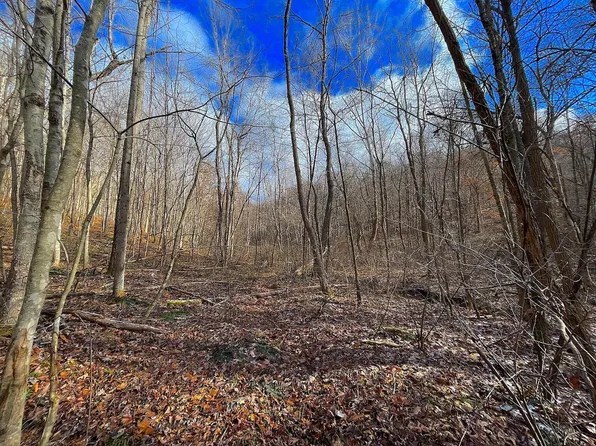 0 Hunt Run Rd, Lucasville, OH 45648