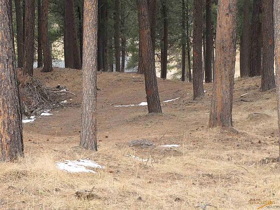 5th image of Placer Pl